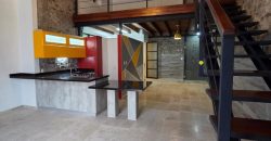 Rento Loft en Zona Centro Querétaro