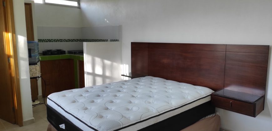 Rento Loft Amueblado Frac. El Cortijo Querétaro